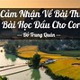 Bài Học Đầu Cho Con