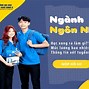 Ngôn Ngữ Anh Có Những Chuyên Ngành Nào