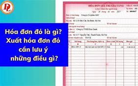 Những Điều Cần Biết Về Xuất Hoá Đơn Đỏ Ở Mỹ Là Gì Ạ