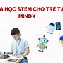 Review Khóa Học Của Mindx