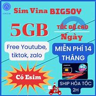 Sim Mạng Vinaphone Big50Y