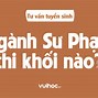 Sư Phạm Anh Thi Trường Nào