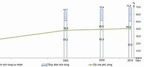 Thảm Thực Vật Rừng Ở Việt Nam Đa Dạng