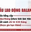 Xuất Khẩu Lao Động Ba Lan 2023